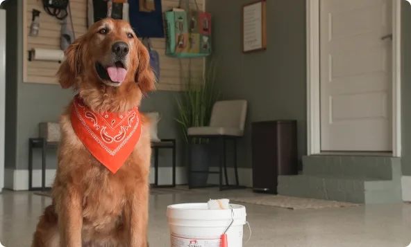 Golden retriever in an orange bandana sitting beside a paint bucket on a finished flake floor